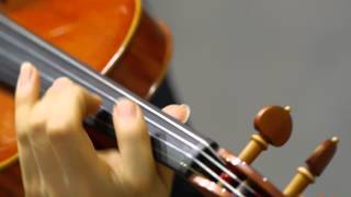 Grisaia no Rakuen  OP - “Setsuna no Kajitsu” Full - “刹那の果実” グリザイアの楽園 (Violin Cover)