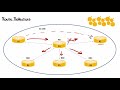 Border Gateway Protocol (BGP) Route Reflectors