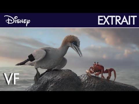 La Petite Sirène - Extrait : Écoute-moi bien l'oiseau (VF) | Disney