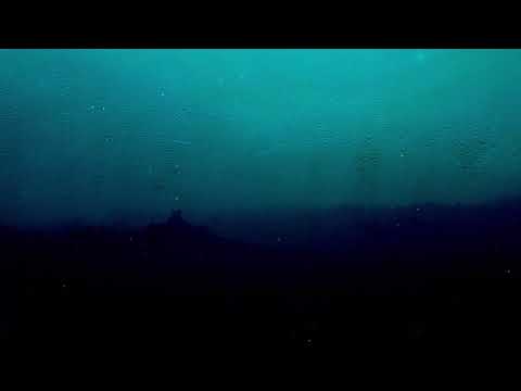 ødyzon - you're not here (𝑆𝑙𝑜𝑤𝑒𝑑 + 𝑅𝑒𝑣𝑒𝑟𝑏)