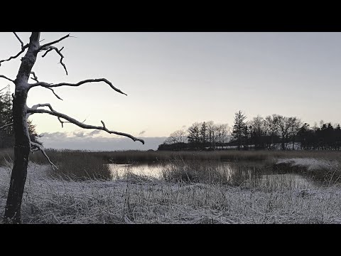 Kold - Kold (Full Album)