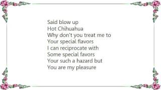 Devo - Blow Up Lyrics