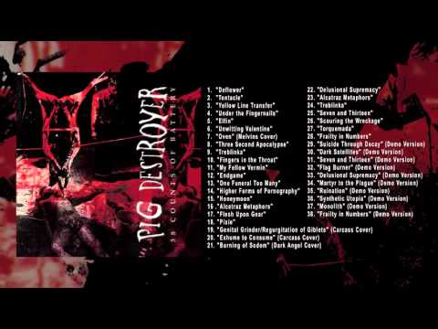 PIG DESTROYER - '38 Counts of Battery' (Full Album Stream)