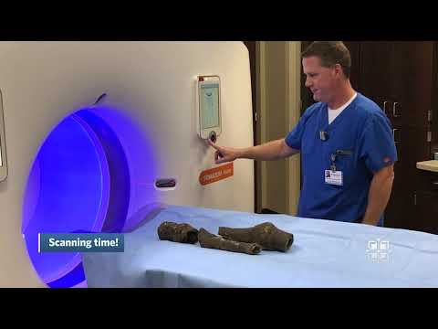 Queen Nefertari's Mummy Gets a CT Scan