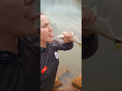 Pescando em Abdon Batista SC. #pesca