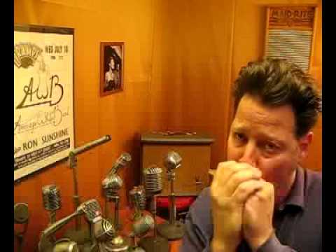 Shure Controlled Magnetic Harp Mic CM element