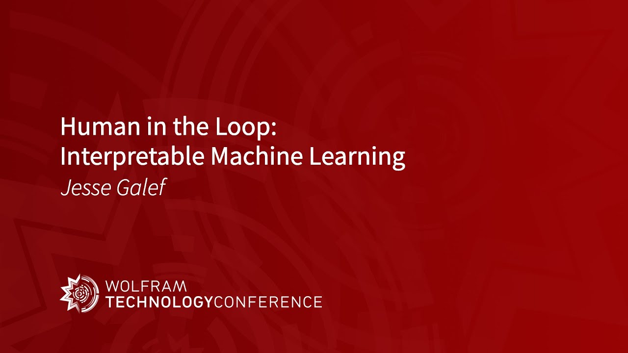 Human in the Loop: Interpretable Machine Learning