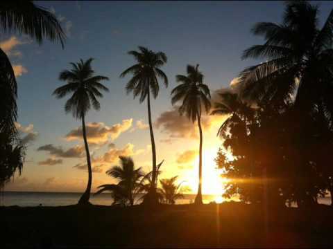 Taku pele (Southern Cross)