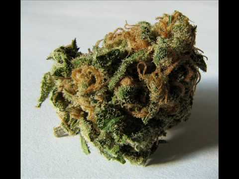 Vargek Beatanga - Kad bi mogo samo vidjet