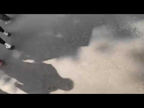 White man at BLM rally waves Trump flag; black protestor keeps peace