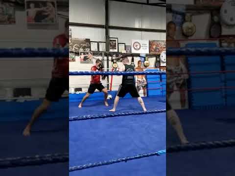 Nikola ivanovic boxing R2