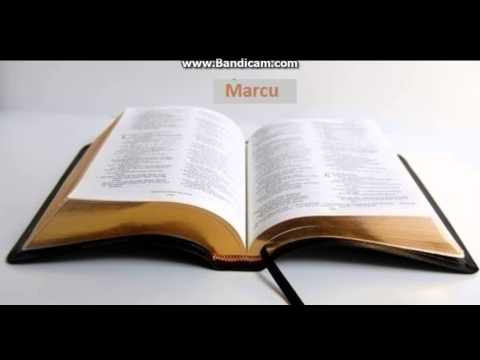 Biblia la rand: Marcu capitolul 12