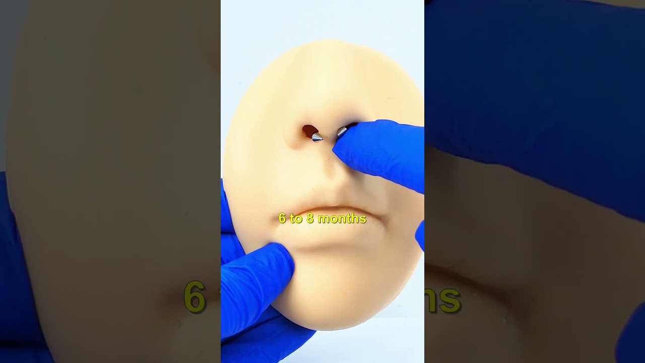 👃 Septum Piercings heal a lot faster than other body piercings. 👃 BM25.com