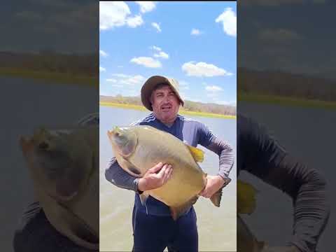 Pescaria de um enorme Tambaqui em Caicó-RN