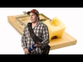 PEST TEST WITH STEVE DUPER Why Do You Hate Rats