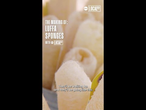 How are luffa sponges made?