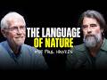 The Story Of Earth S Hidden Wisdom The Intelligence Beneath Our Feet Paul Hawken