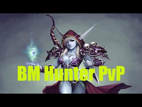 5.4.8 BM Hunter 2v2 Arena - Hunter Boomkin Destruction - Patch 5.4