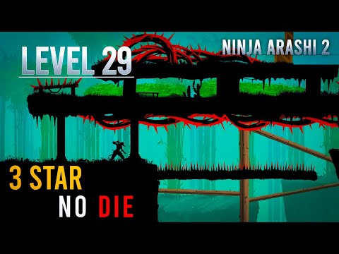 Ninja Arashi 2 Level 29