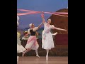 A summer love story in bloom ☀️💘 La Fille mal gardée (Leticia Dias and Joseph Sissens)