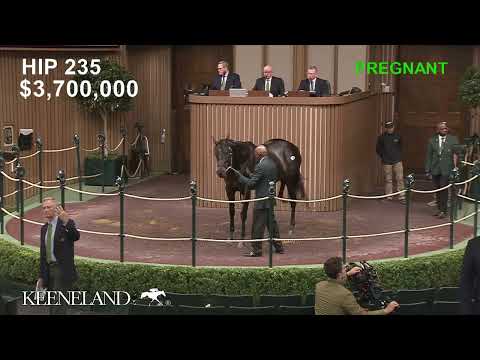 Hip 235 Midnight Bisou sells for $5.5 million at 2022 Keeneland November