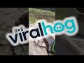 School Pickup On Horseback ViralHog