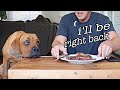 Leaving my blind dog alone with STEAK! (Leave it Challenge)