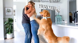 This Is What My Dog Does When I Hug My Husband