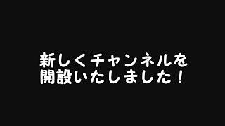 新しい 音楽チャンネルを開設しました