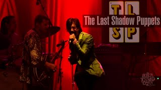 &quot;THE LAST SHADOW PUPPETS&quot; LIVE  at Lollapalooza Chicago 2016