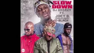 Dj Breezy - Slow Down ft. Joey B, King Promise &amp; D-Black (Audio Slide)