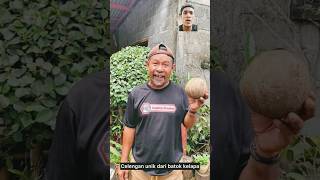 Download lagu CELENGAN KEREN DARI BATOK KELAPA #lucu #komedi #funny #art #viral #diy #diy #like #craft #kreatif mp3 Download lagu CELENGAN KEREN DARI BATOK KELAPA #lucu #komedi #funny #art #viral #diy #diy #like #craft #kreatif mp3
