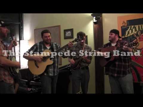 The Stampede String Band - Evergreen