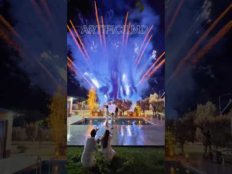 Best gender reveal Moldova