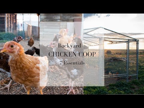 , title : '7 Essentials for the Backyard Chicken Coop | Raising Chickens for Eggs'