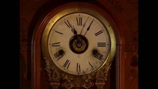 THE WILL AND TESTAMENT OF RAYMOND BURNS Trailer