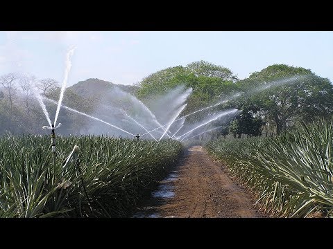 Senninger's 80 Series Impact Sprinklers