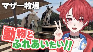 【旅行Vlog】癒しを求めて動物とふれあい旅【マザー牧場】