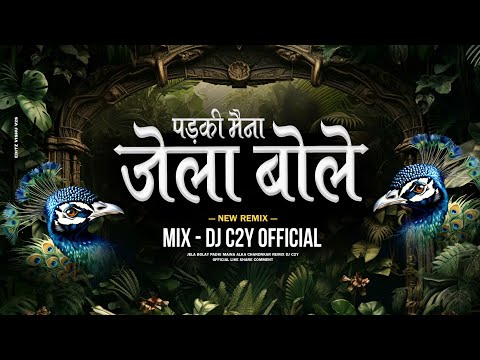 DJ C2Y PRODUCTION and DJ C2Y OFFICIAL