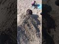 Freddy Fresh - A Day At The Beach With StarSeed