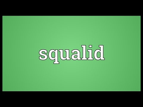Squalid Meaning