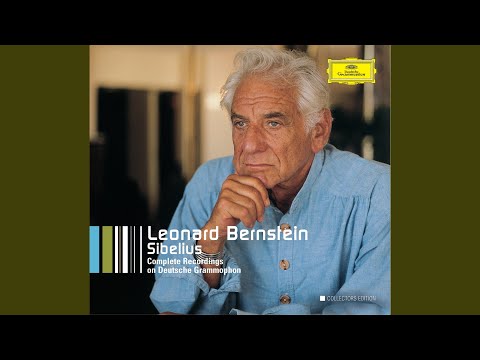 Elgar: Enigma Variations, Op. 36: Var. 7. Presto "Troyte"