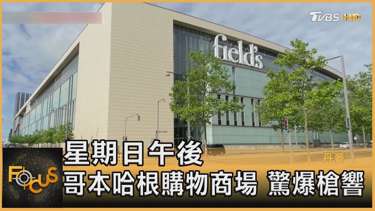 丹麥商場驚傳槍響!22歲槍手單獨犯案 隨機開槍3死4傷