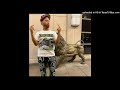 Veeze Safe 2 Peas Edit