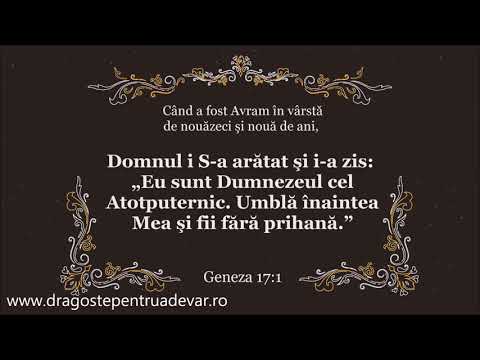 Andreea Leahu - El Shaddai, El Shaddai