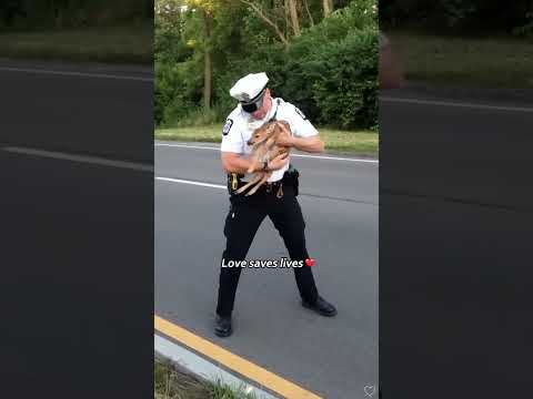 #pov #youtube #fyp #fypシ #funny #foryoupageshorts