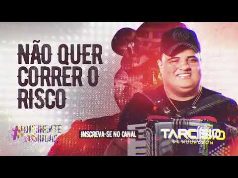 GOSTA DE CACHAÇA DE ROLÊ DE PAREDÃO - TARCISIO DO ARCODEON