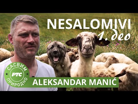 Sasvim prirodno: Nesalomivi 1. deo - Aleksandar Manić (Jovan Memedović)