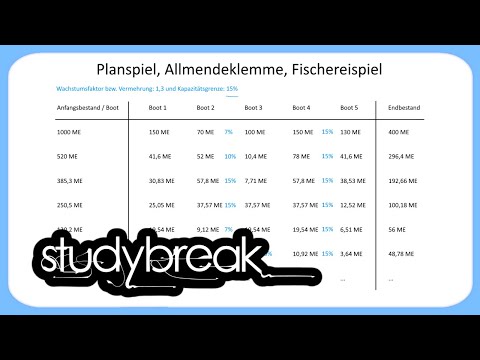Planspiel, Allmendeklemme, Fischereispiel | Kompetenzentwicklung