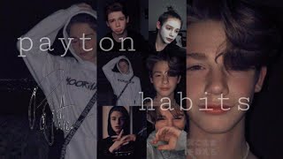payton - habits ( Official Music Video )